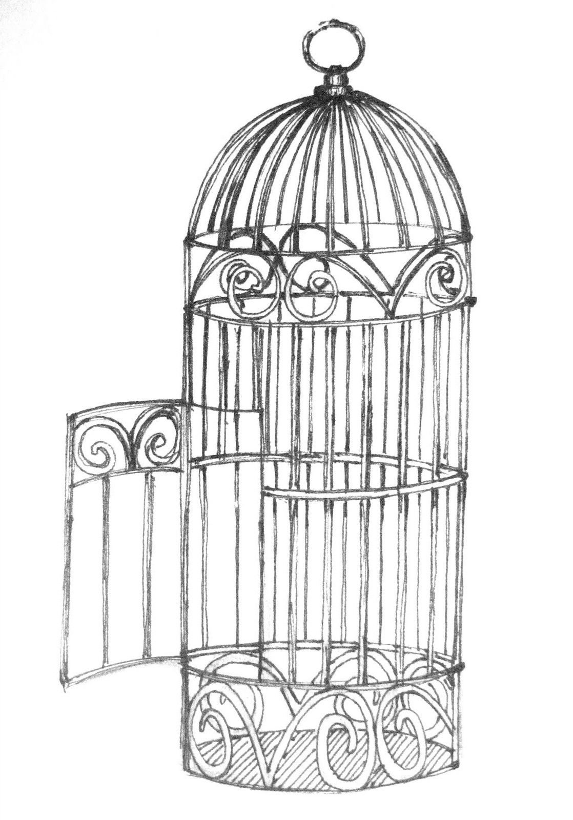 1118x1600 Open Bird Cage Drawing Bird Free Animals Dogs Cats - Bird In A Cage Sketch