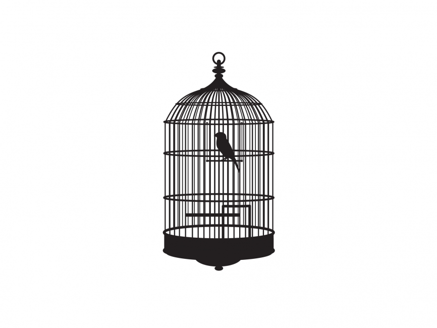 866x650 Open Bird Cage Sketch - Bird In A Cage Sketch