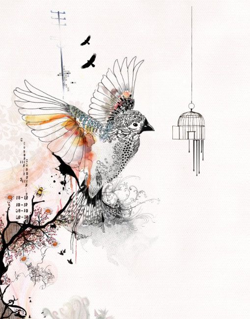509x650 Prints Illustrations, Bird Cage Art, Living Room Art, Bird Art - Bird In A Cage Sketch