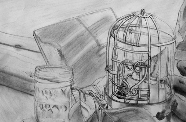 600x395 Bird Sketches - Bird In A Cage Sketch