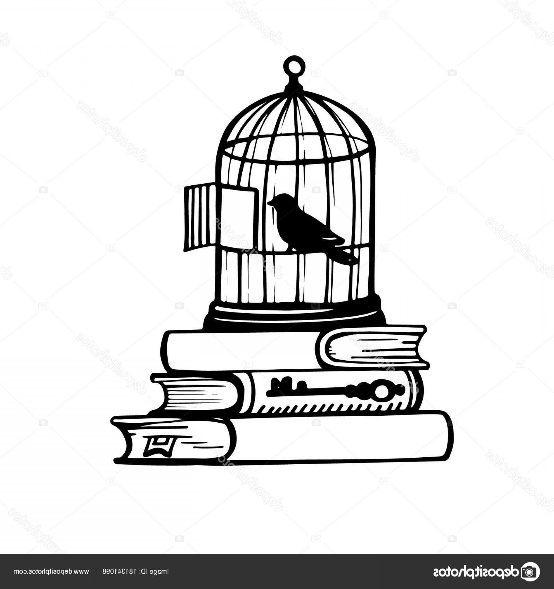 1920x2040 Bird Cage Scalable Vector Graphics Sohadacouri - Bird In A Cage Sketch