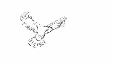 474x266 Flock Of Birds Flying Drawing. The Birds! Girls On The Grid - Bird In Flight Sketch