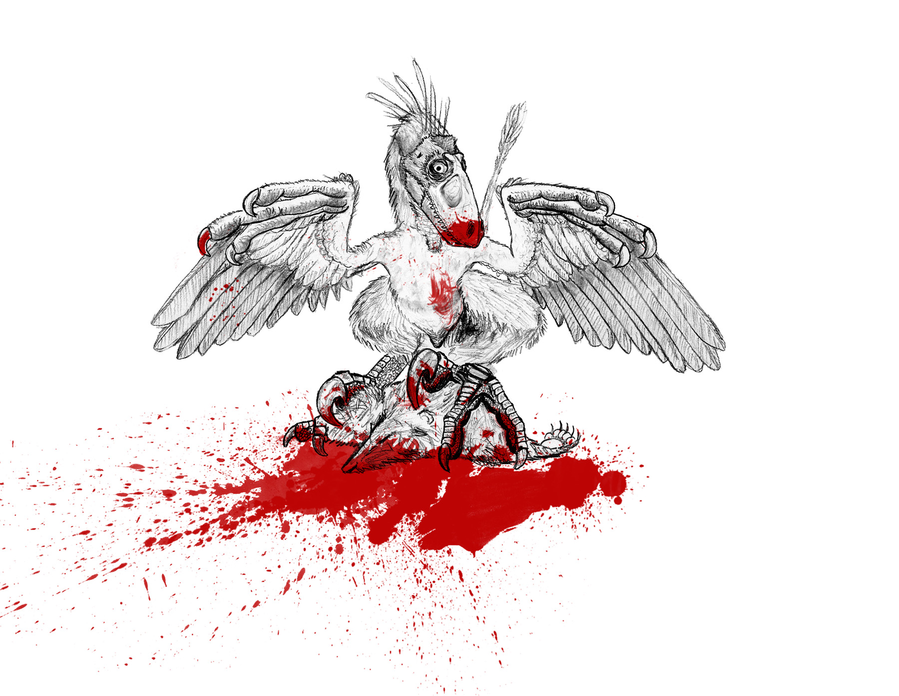 1800x1393 Dinosaurs With Killer Claws Yield New Theory About Flight - Bird In Flight Sketch