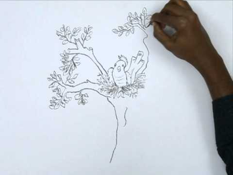 480x360 How To Draw A Bird And The Nest - Bird Nest Sketches