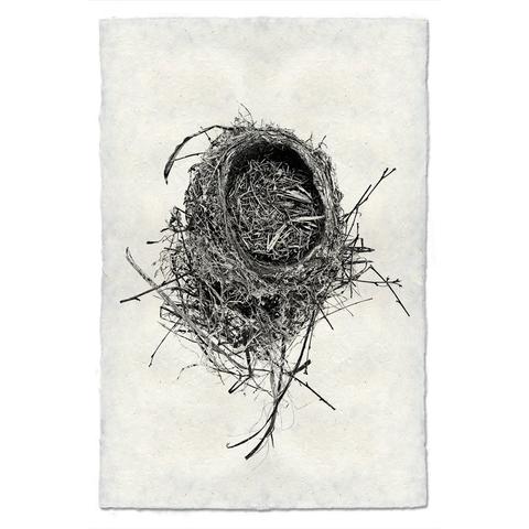 480x480 Nest Studies Barloga Studios Fine Photographs On Intriguing Papers - Bird Nest Sketches