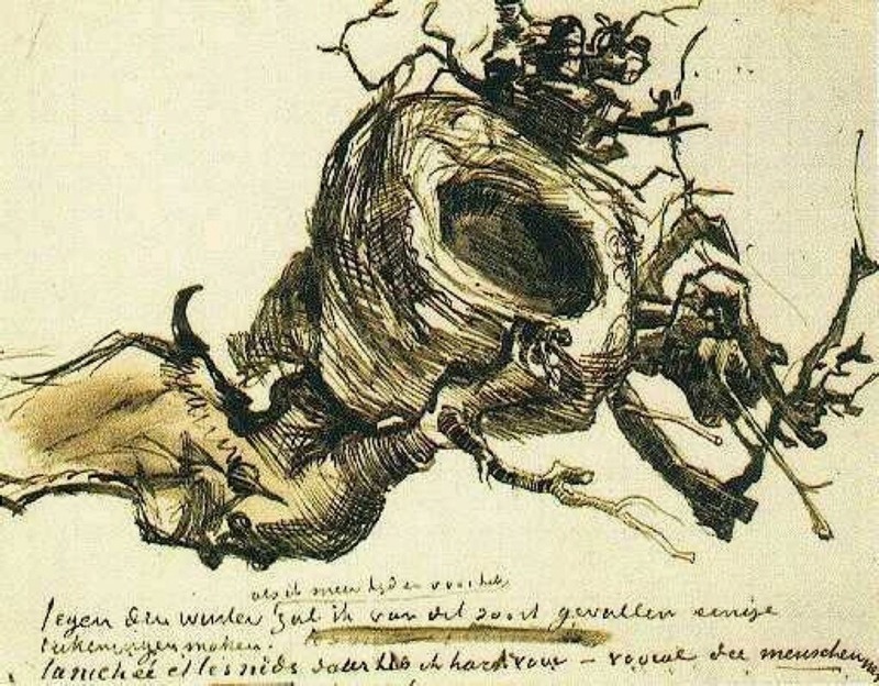 800x624 Artwork By Vincent Van Gogh - Bird Nest Sketches