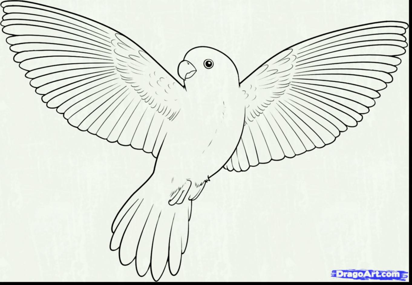 1362x942 Bird Nest Coloring Pages - Bird Nest Sketches