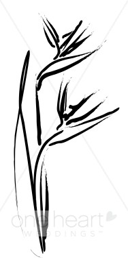 188x388 Bird Of Paradise Clipart Elegant Wedding Flower Sketches - Bird Of Paradise Flower Sketch