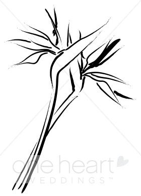 280x388 2 Paradise Flowers Clipart Elegant Wedding Flower Sketches - Bird Of Paradise Flower Sketch
