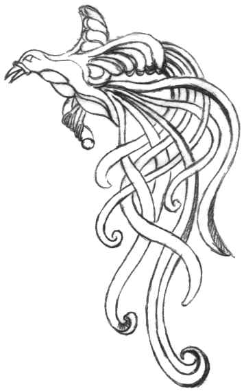 356x569 Man From Rigo. - Bird Of Paradise Sketch