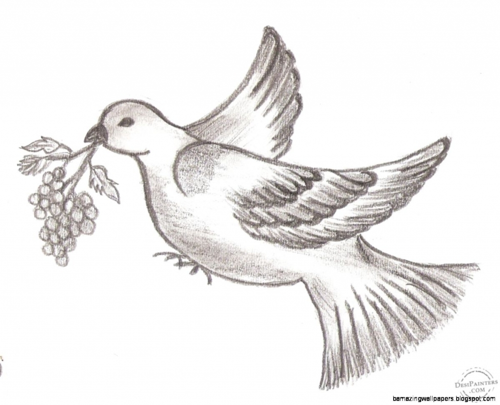 1024x831 Drawing Of Flying Bird Drawings Of Birds Pencil Drawings Of Birds - Bird Sketch Drawing