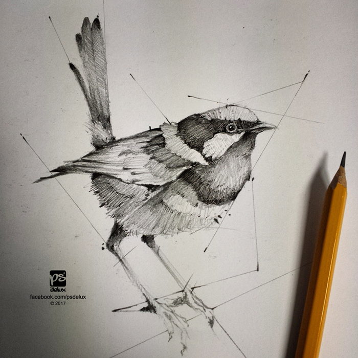 700x700 20160209 Bird Sketch Psdelux By Psdeluxe - Bird Sketch Drawing