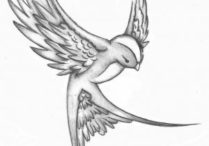 300x210 Beautiful Birds Sketches Beautiful Bird Pencil Drawing Pencil - Bird Sketch Drawing