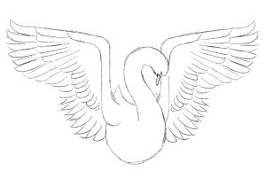 300x210 Beautiful Sketch Of Bird Bird Sketch Easy Bird Sketch Beginners - Bird Sketch Easy