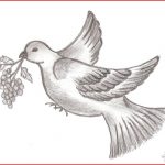 150x150 Drawing Birds 143863 Drawing Birds Save Bird Pencil Sketch Easy - Bird Sketch Easy