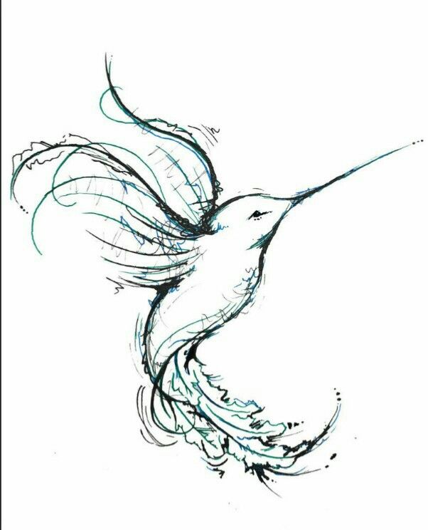 602x744 Drawing Ideas Birds - Bird Sketch Easy