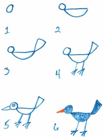 361x478 Easy Bird Drawings In Pencil Luxury How To Draw A Bird Step By - Bird Sketch Step By Step