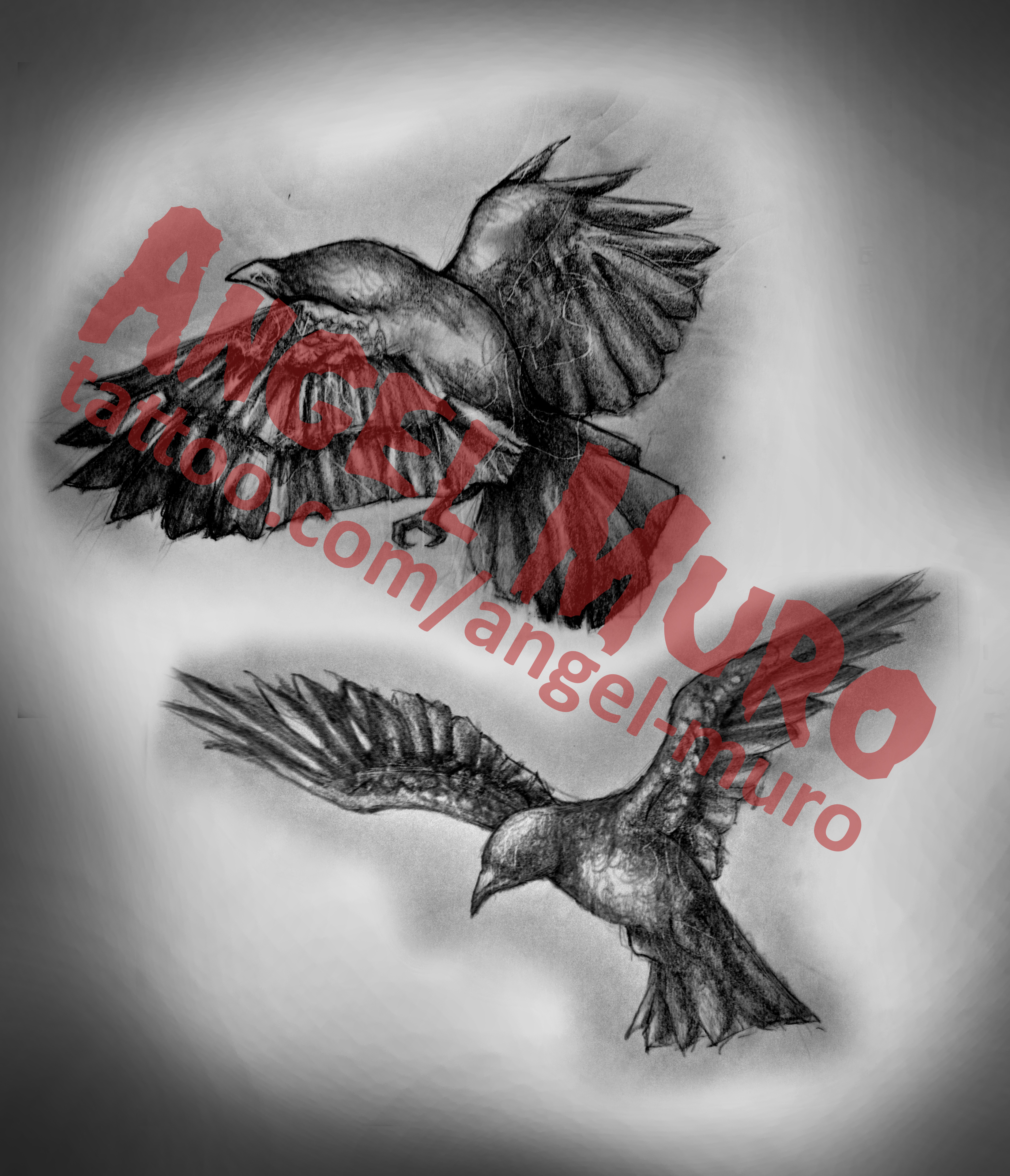 3772x4389 Bird Sketch - Bird Sketch Tattoo