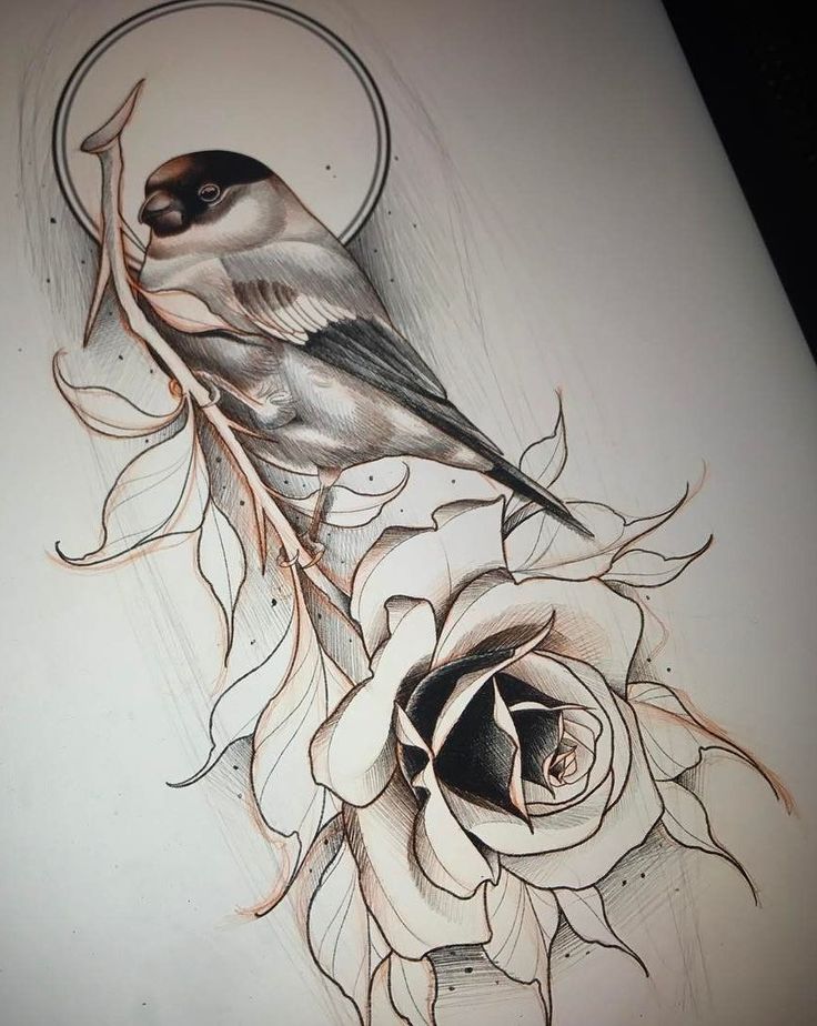 736x924 Bird Sketch Tattoo - Bird Sketch Tattoo