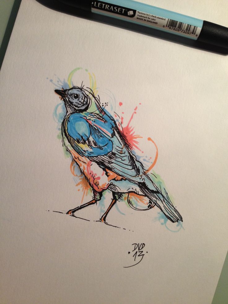 736x981 Drawn Tattoo Bird - Bird Sketch Tattoo