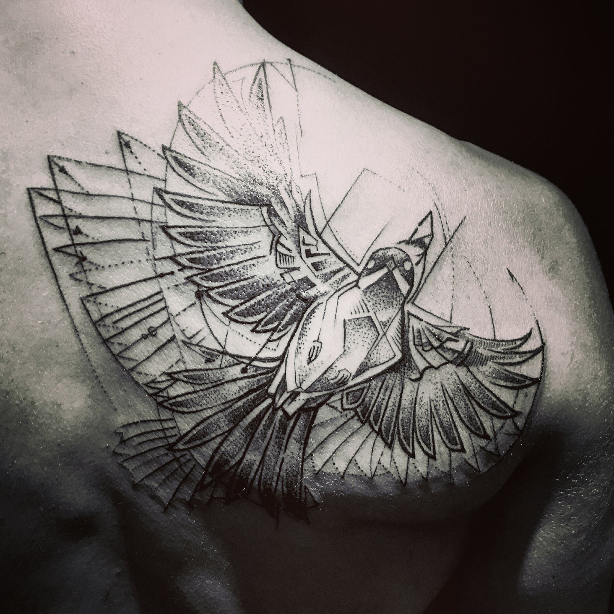 Bird Sketch Tattoo at PaintingValley.com | Explore collection of Bird ...