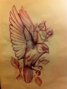236x315 The 25 Best Small Bird Tattoo Sketch Images Bird - Bird Sketch Tattoo