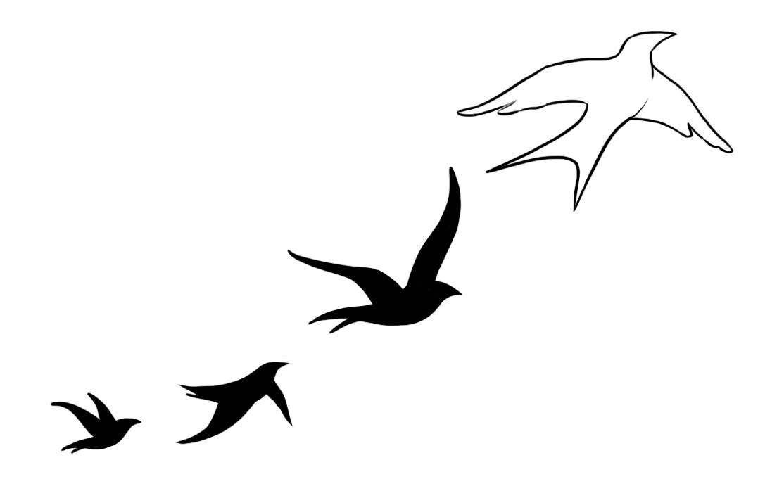 1114x708 Unique Birds Tattoos Designs - Bird Tattoo Sketch