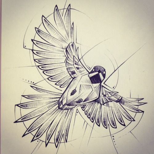 500x500 Bird Drawingshummingbird Drawings Designshummingbird Flying - Bird Tattoo Sketch