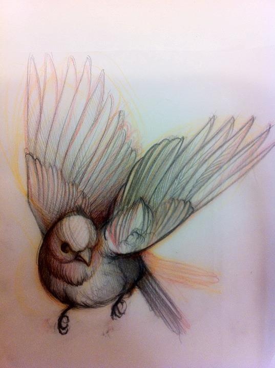 537x720 Tattoo Sketch Bird - Bird Tattoo Sketch