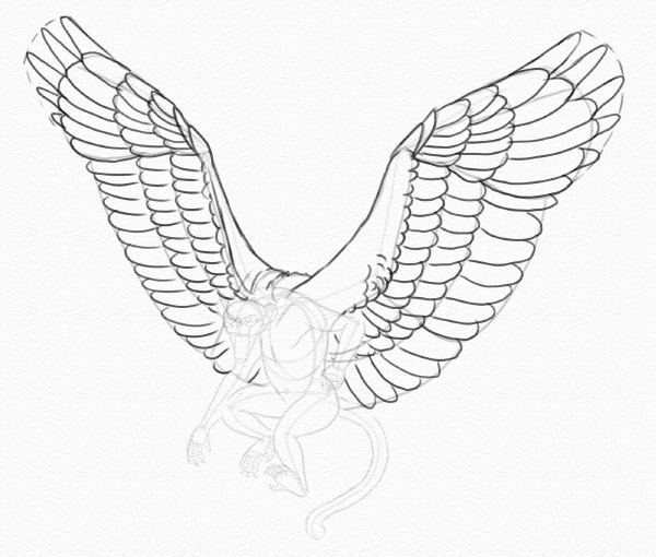 600x510 Drawn Wings Hawk - Bird Wing Sketch