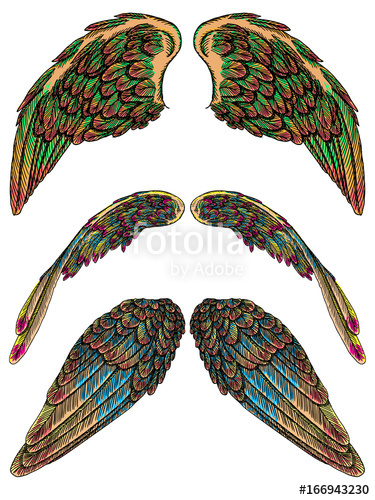 375x500 Set Of Angel Or Bird Colourful Wings. Colorful Abstract Hand - Bird Wing Sketch