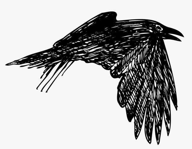 650x504 Swift Of Wings Of Birds, Wings Vector, Crow, Flying The Crows Png - Bird Wing Sketch