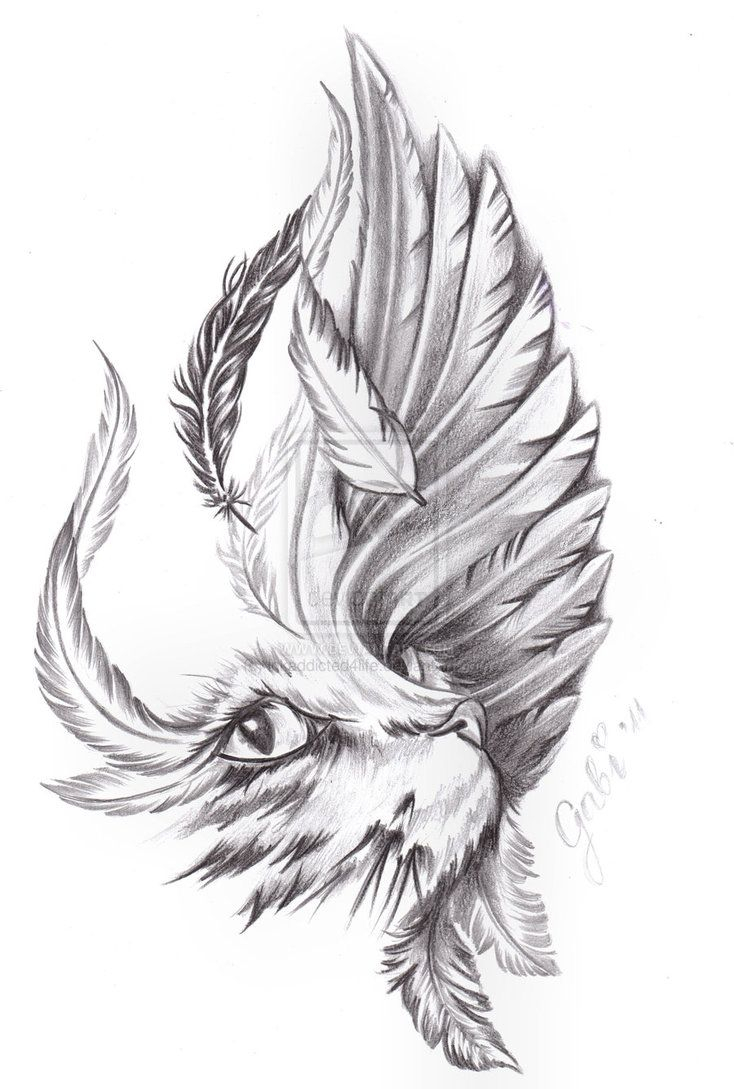 734x1089 Tattoos Of Bird Wings Cat And Bird Wing By Inkaddicted4life - Bird Wing Sketch