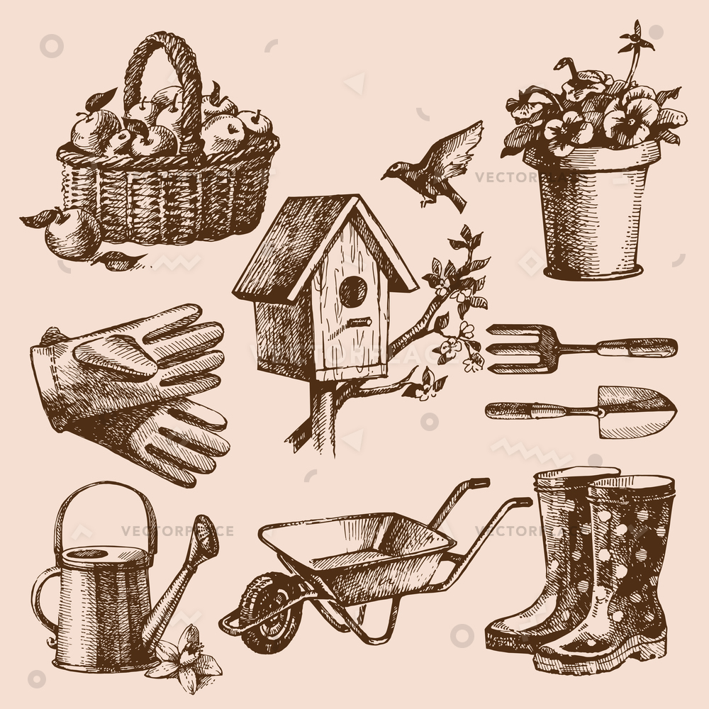 1000x1000 Sketch Gardening Elements Set Basket Apples Vector Illustration - Birdhouse Sketch