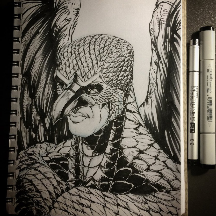 894x894 Birdman By 800poundproductions - Birdman Sketch