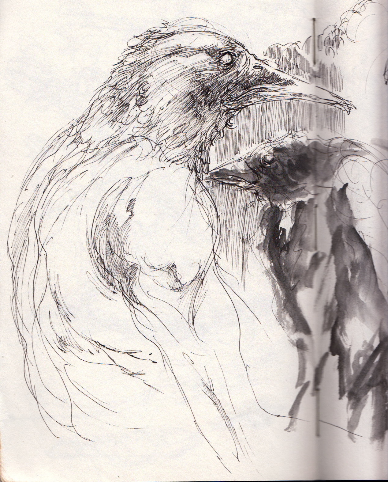 1268x1573 Birdman - Birdman Sketch