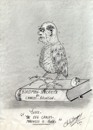 374x525 Charles Bronson Birdman Secrets - Birdman Sketch