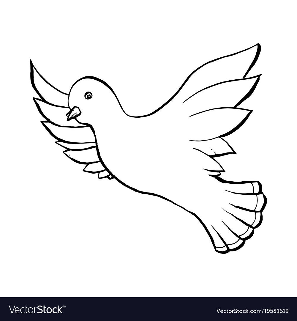 1000x1080 Interesting Outline Of Birds Dove Flying Bird In Sketch Style Or - Birds Sketch Images