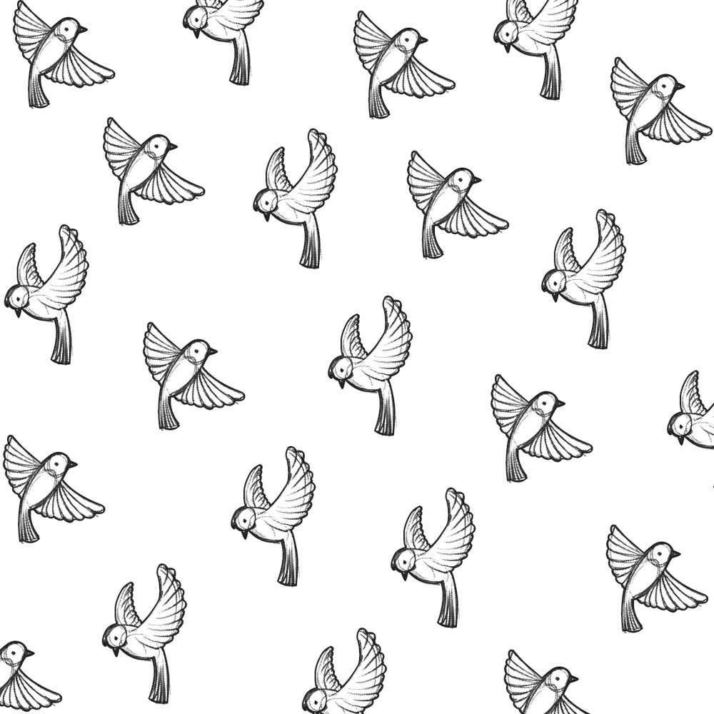 1000x1000 Bird Wall Decall - Birds Sketch Pictures