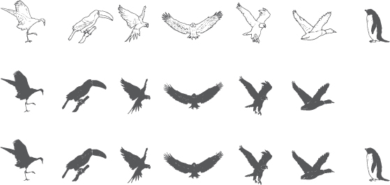 559x266 Hand Drawn Birds Sketch Vectors Free Download - Birds Sketch Pictures