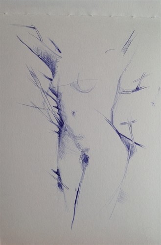 329x500 Nick Kane Biro Sketches - Biro Sketches