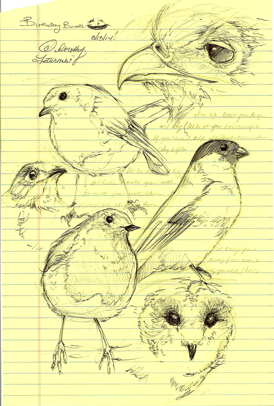 945x1400 Birthday Sketches!!!!! Pen And Ink Birds Dorothy Fatunmbi - Birthday Sketches