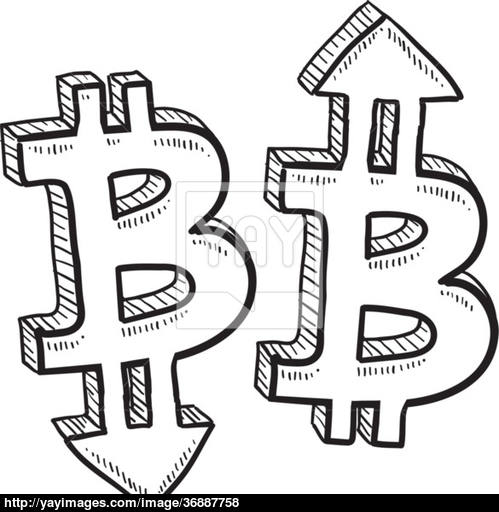499x512 Bitcoin Currency Value Sketch Vector - Bitcoin Sketch