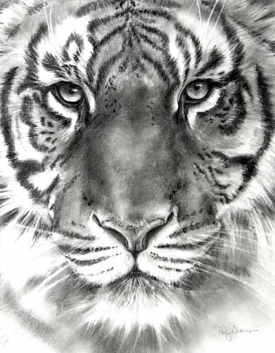 Black And White Animal Sketches at PaintingValley.com | Explore ...