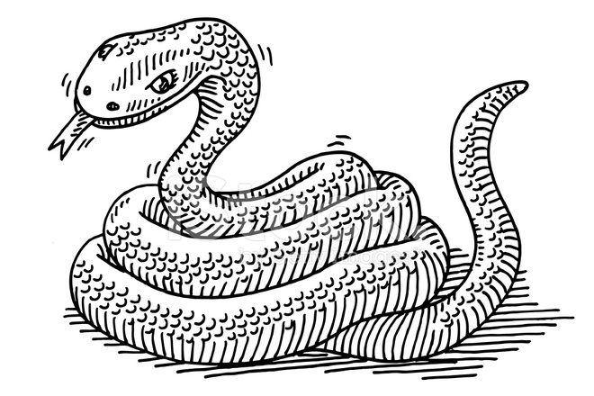660x440 Snake Animal Drawing Stock Vector - Black And White Animal Sketches