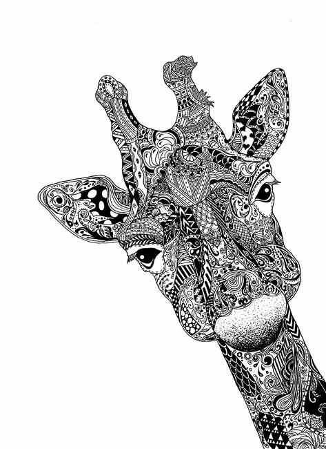 473x650 Giraffe Drawing Art Giraffe Drawing, Surrealism - Black And White Animal Sketches