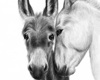 340x270 Animal Sketch Etsy - Black And White Animal Sketches