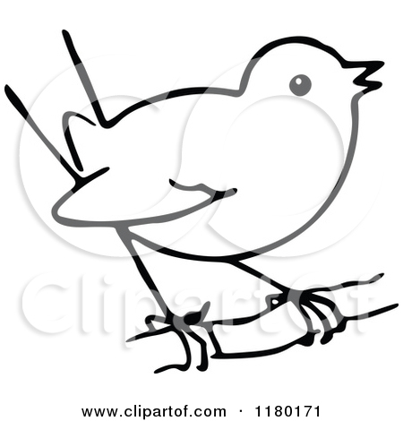 450x470 Collection Of Free Birred Clipart Sketch. Download On Ubisafe - Black And White Bird Sketches