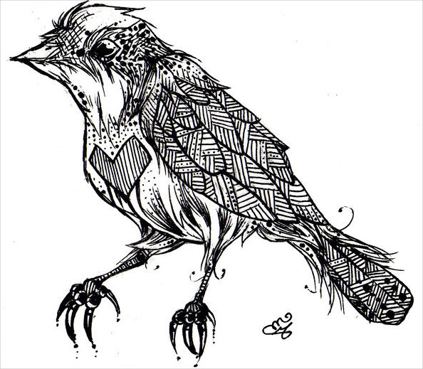 594x519 Bird Sketches - Black And White Bird Sketches