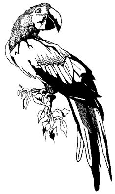 235x394 The 38 Best Birds Images In 2018 Bird Drawings - Black And White Bird Sketches